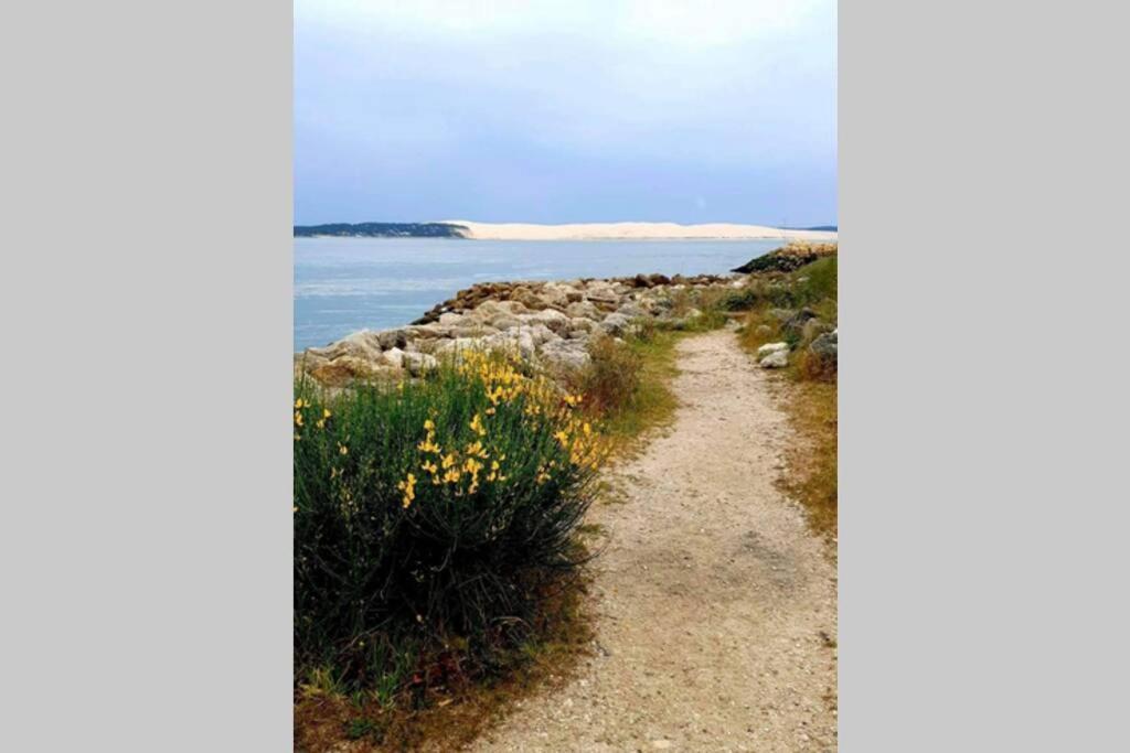 Colibri Appart' T2 Au Coeur Du Bassin D'Arcachon Gujan-Mestras Eksteriør bilde