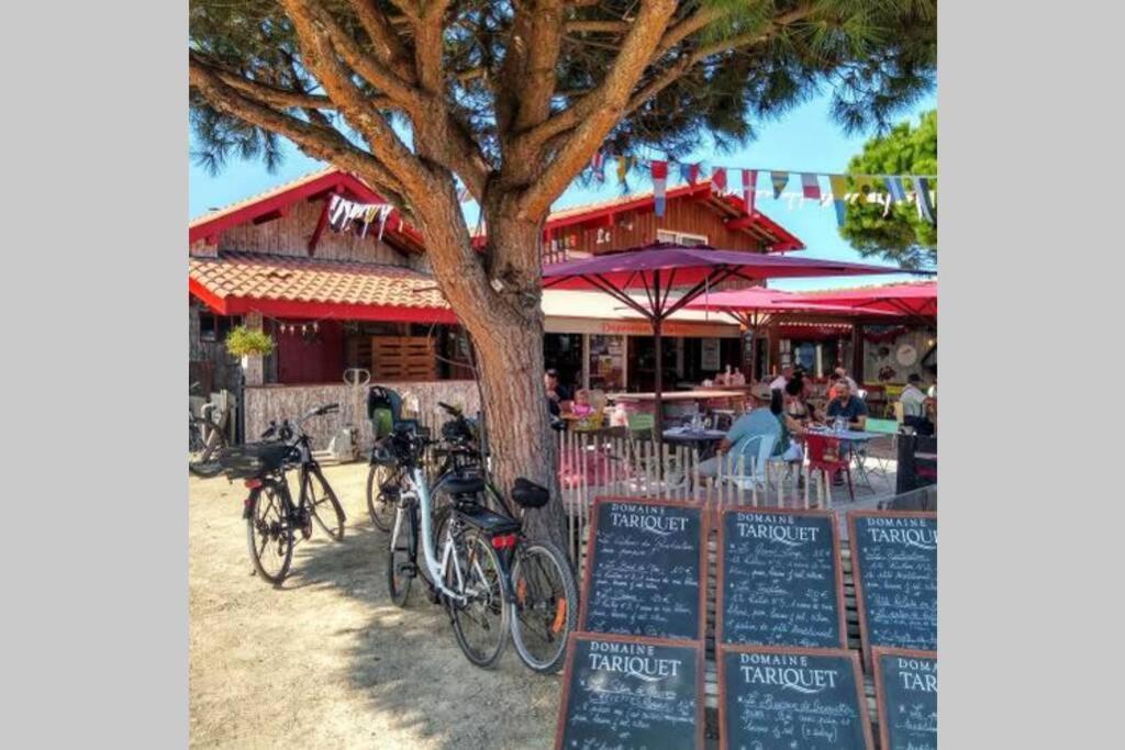 Colibri Appart' T2 Au Coeur Du Bassin D'Arcachon Gujan-Mestras Eksteriør bilde